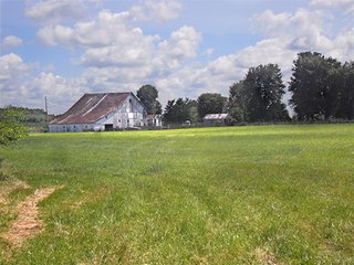 Property photo 2 - INDIANA LAND AUCTION, 87+/- Acres offered in 3 Tracts
